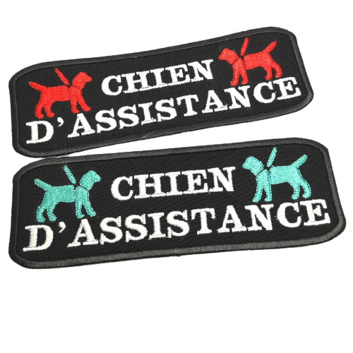Chien d'assistance Patch / Service Dog