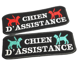 Chien d'assistance Patch / Service Dog