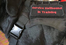Load image into Gallery viewer, Hellhound In Training Patch / Service Dog
