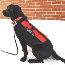 Load image into Gallery viewer, Patch Chien d&#39;assistance in French for service dog vest - Service dog patch - On hook and loop (male backing), sew on or iron on