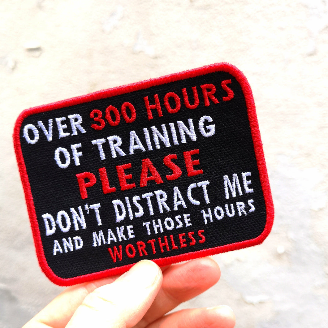 Over 300 hours of training please don't distract me