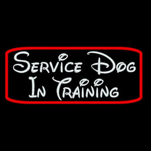 One service dog in training patch gear and vest - Can be hook and loop (male backing), sew on or iron on
