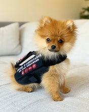 Load image into Gallery viewer, Patch Chien d&#39;assistance Ne pas déranger in French for service dog vest - Service dog patch